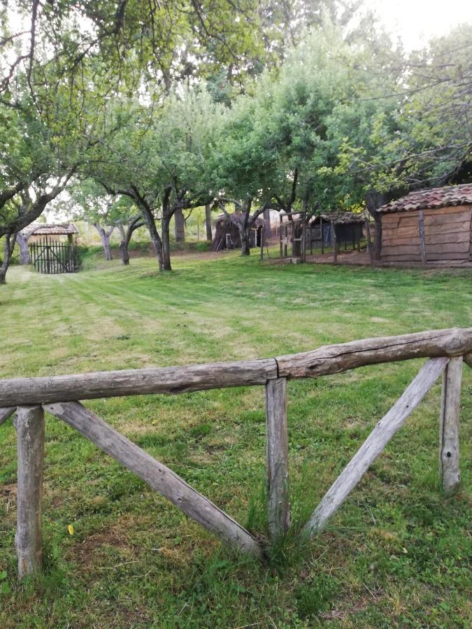 Agriturismo Carrozzino Sersale Dış mekan fotoğraf