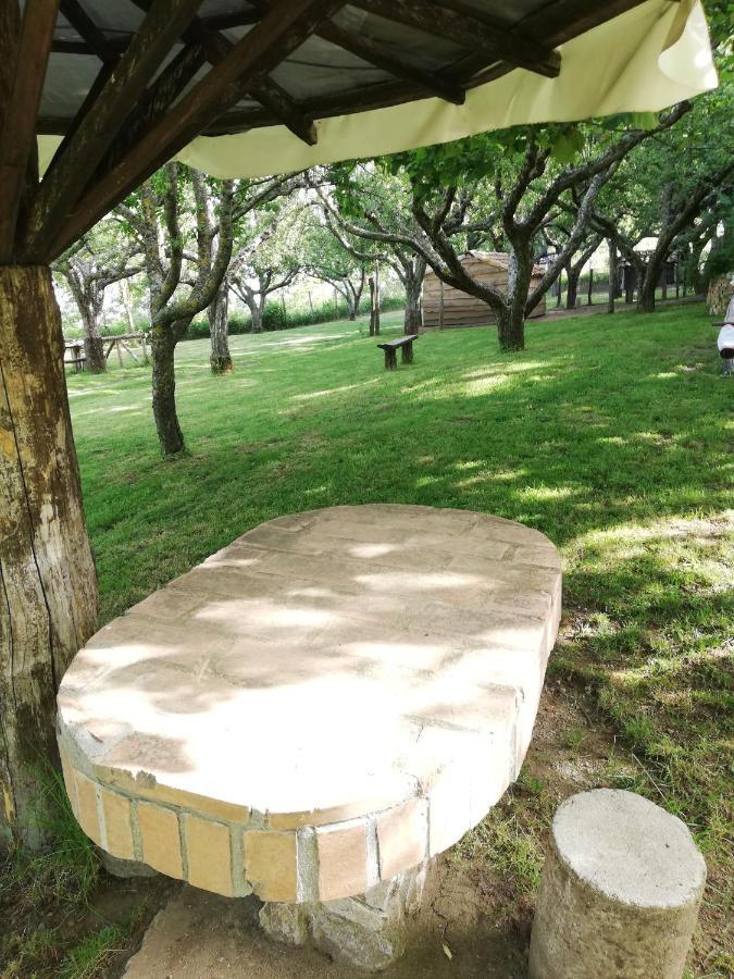 Agriturismo Carrozzino Sersale Dış mekan fotoğraf