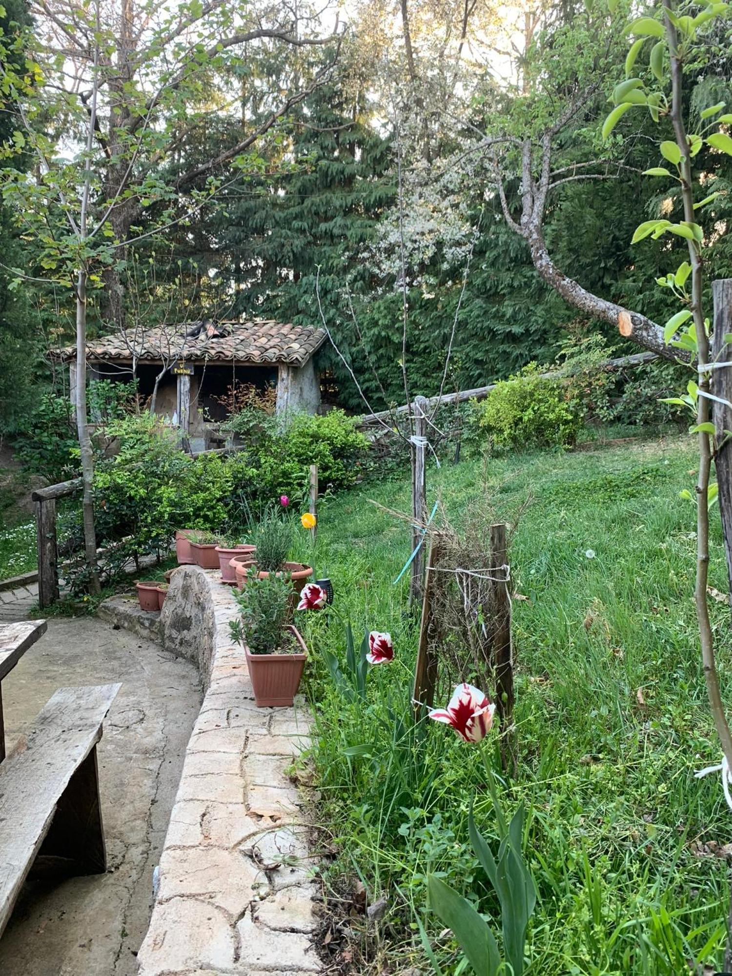 Agriturismo Carrozzino Sersale Dış mekan fotoğraf