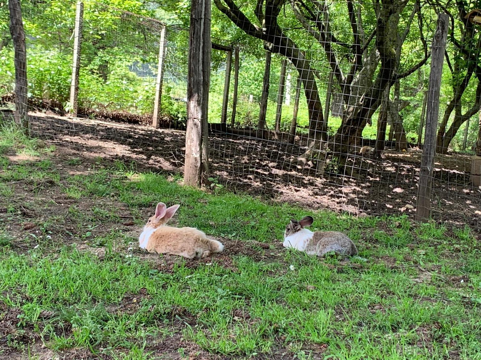 Agriturismo Carrozzino Sersale Dış mekan fotoğraf