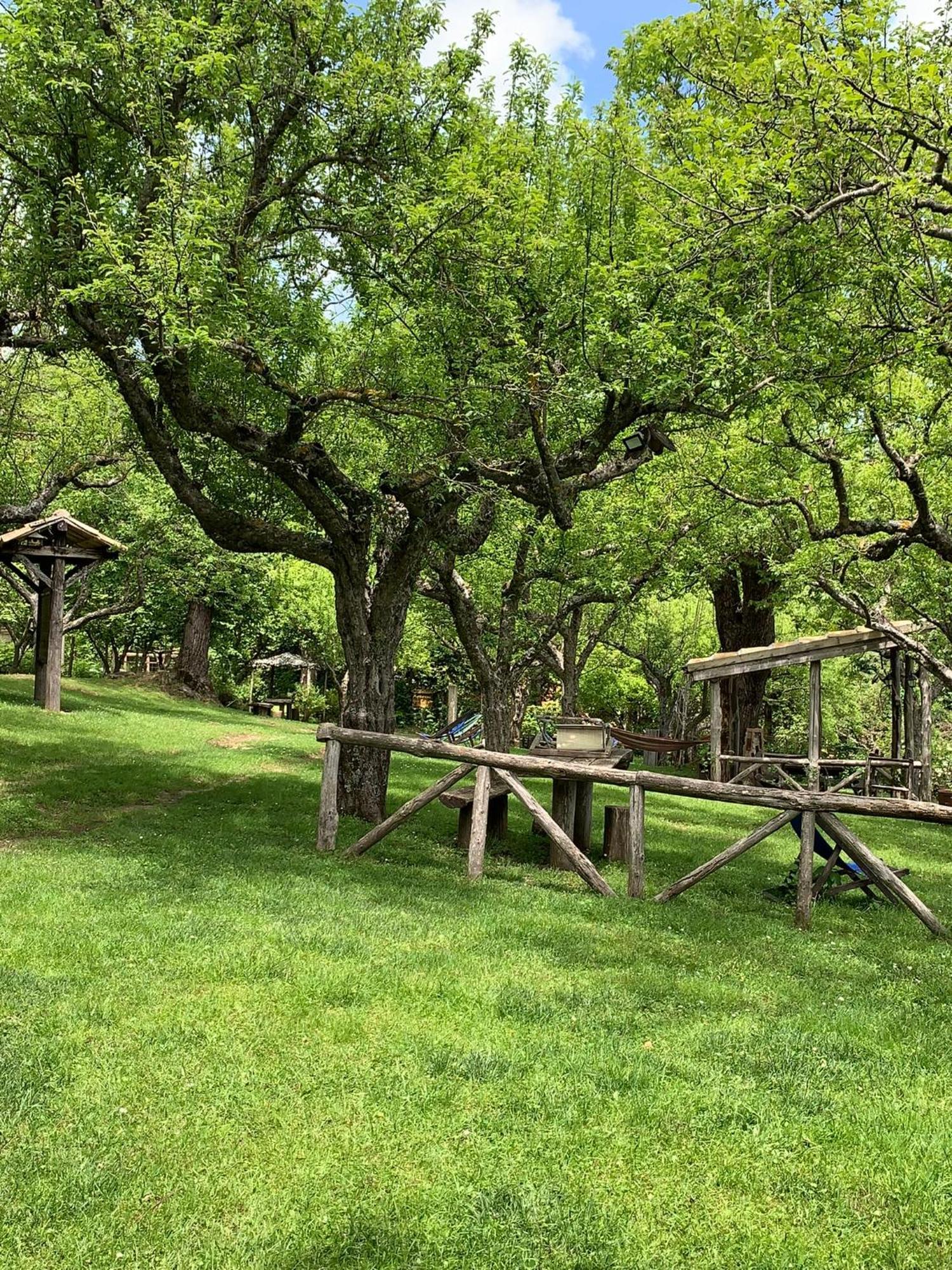 Agriturismo Carrozzino Sersale Dış mekan fotoğraf