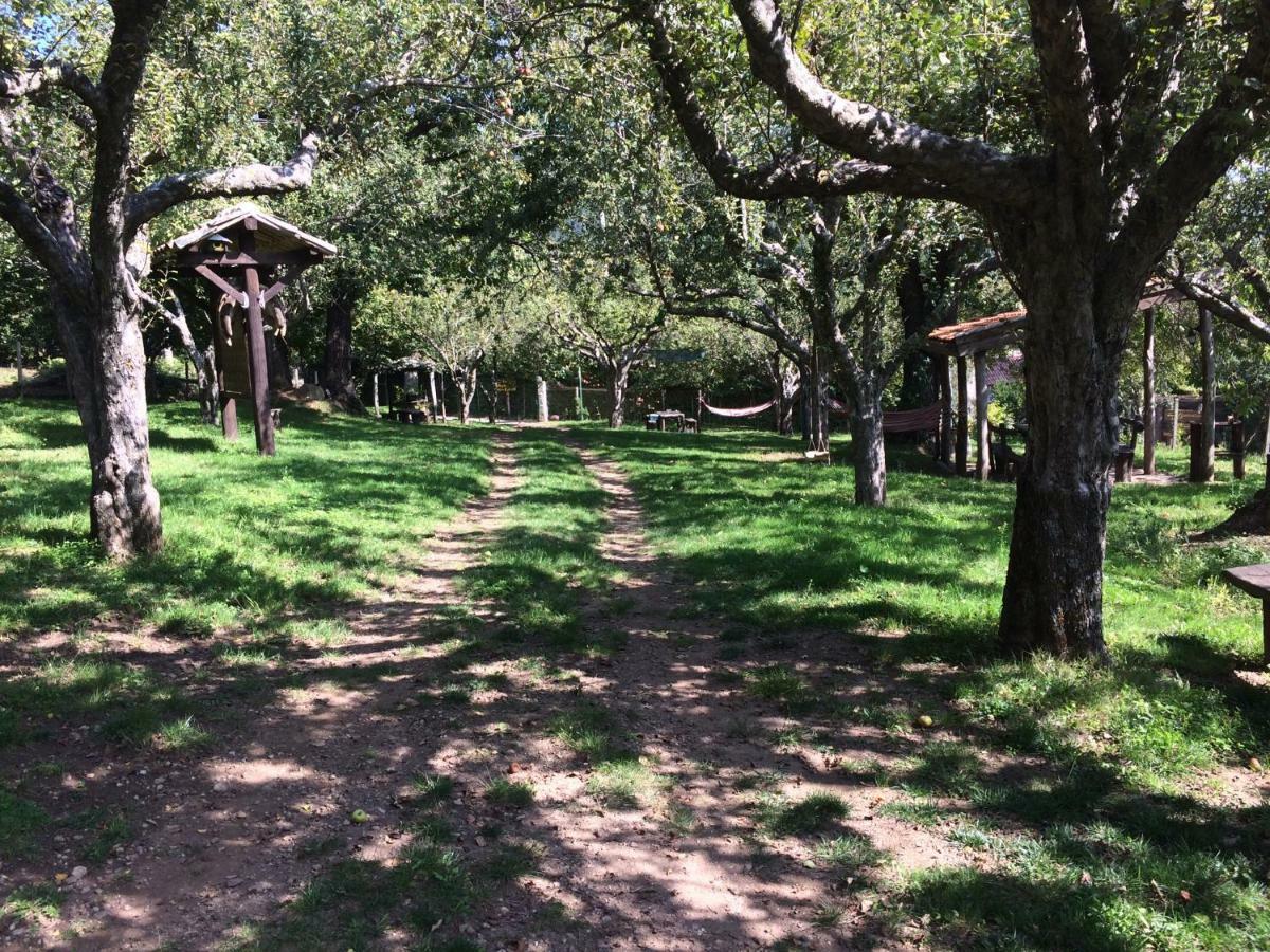 Agriturismo Carrozzino Sersale Dış mekan fotoğraf