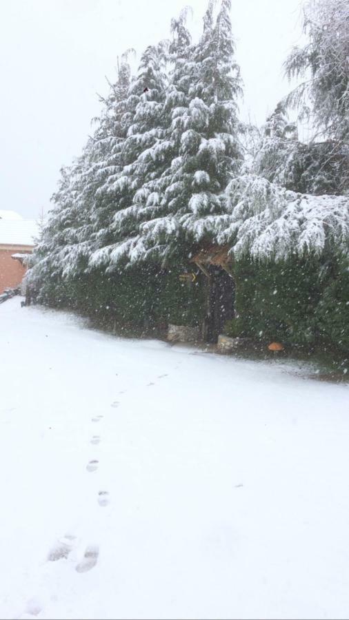 Agriturismo Carrozzino Sersale Dış mekan fotoğraf